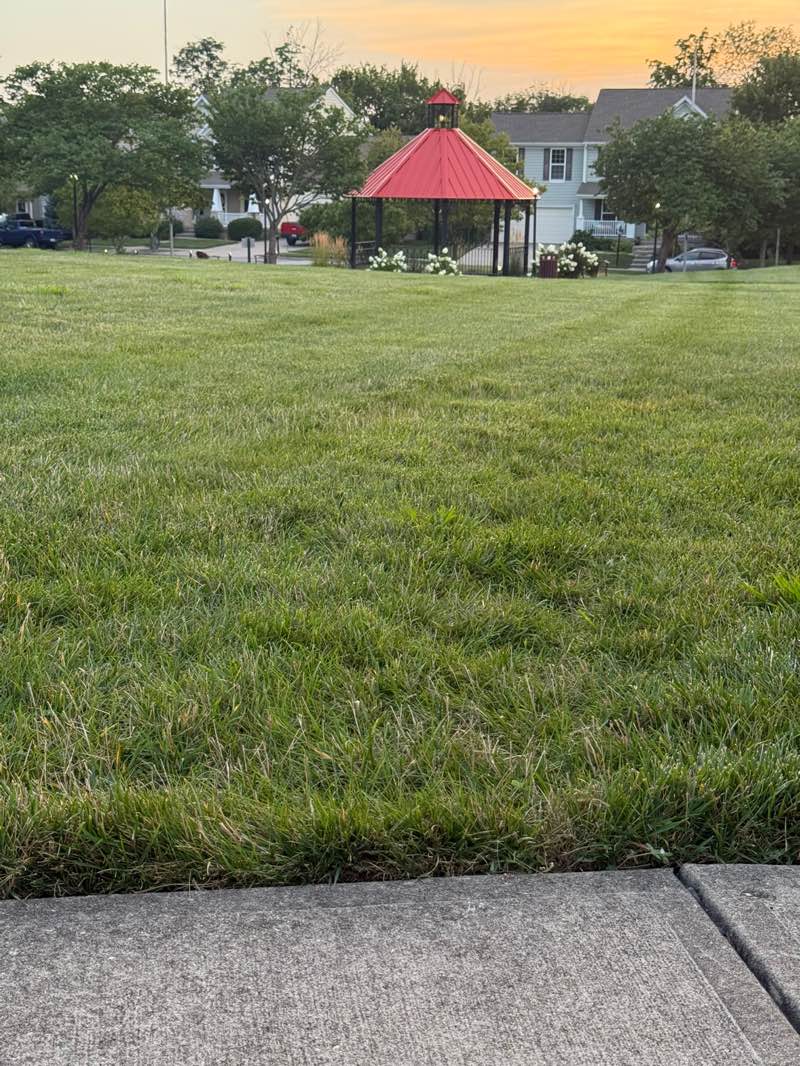 walking near me in Harmony Park in autumn