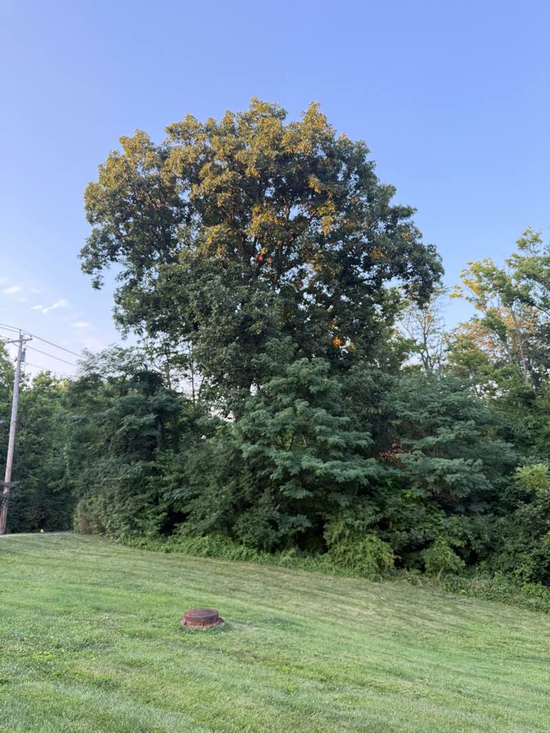 walking near me in Florence Nature Park in autumn