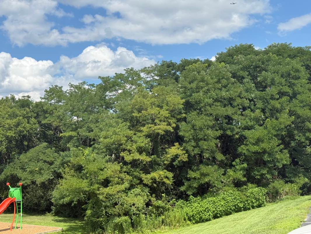 walking near me in Richardson Road Park in autumn