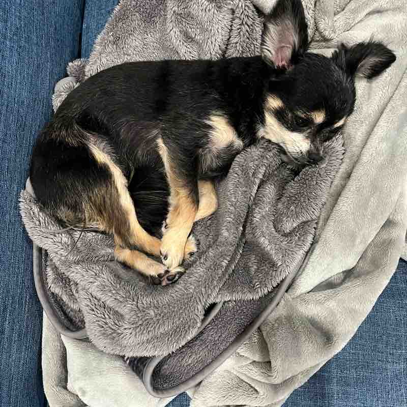 SMCJ 2024 I Kurahashi post image