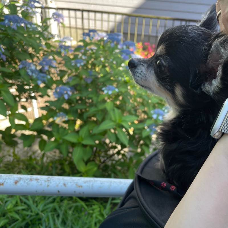 SMCJ 2024 I Kurahashi post image