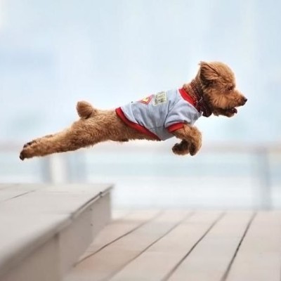 ORO_турнир по ходьбе ORO_турнир по ходьбе post image