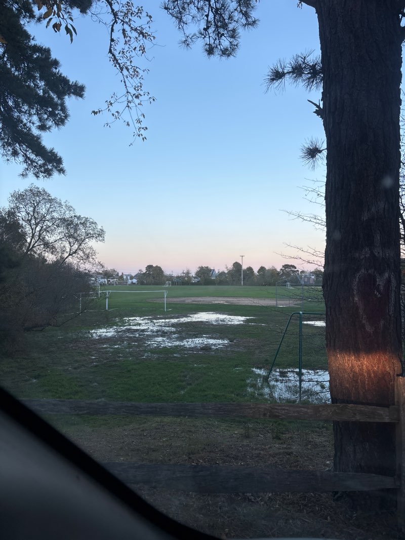 walking near me in Veterans Memorial Park in autumn