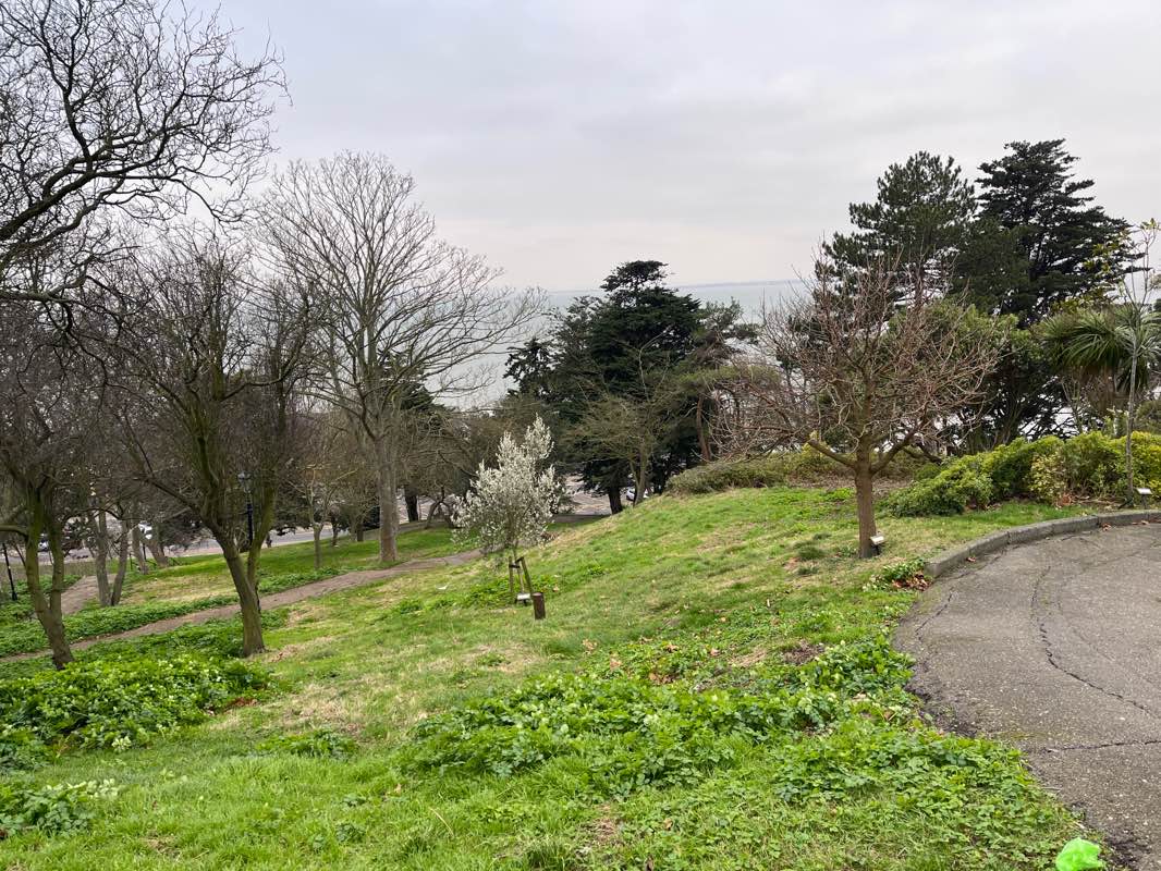 walking near me in The Cliffs in winter