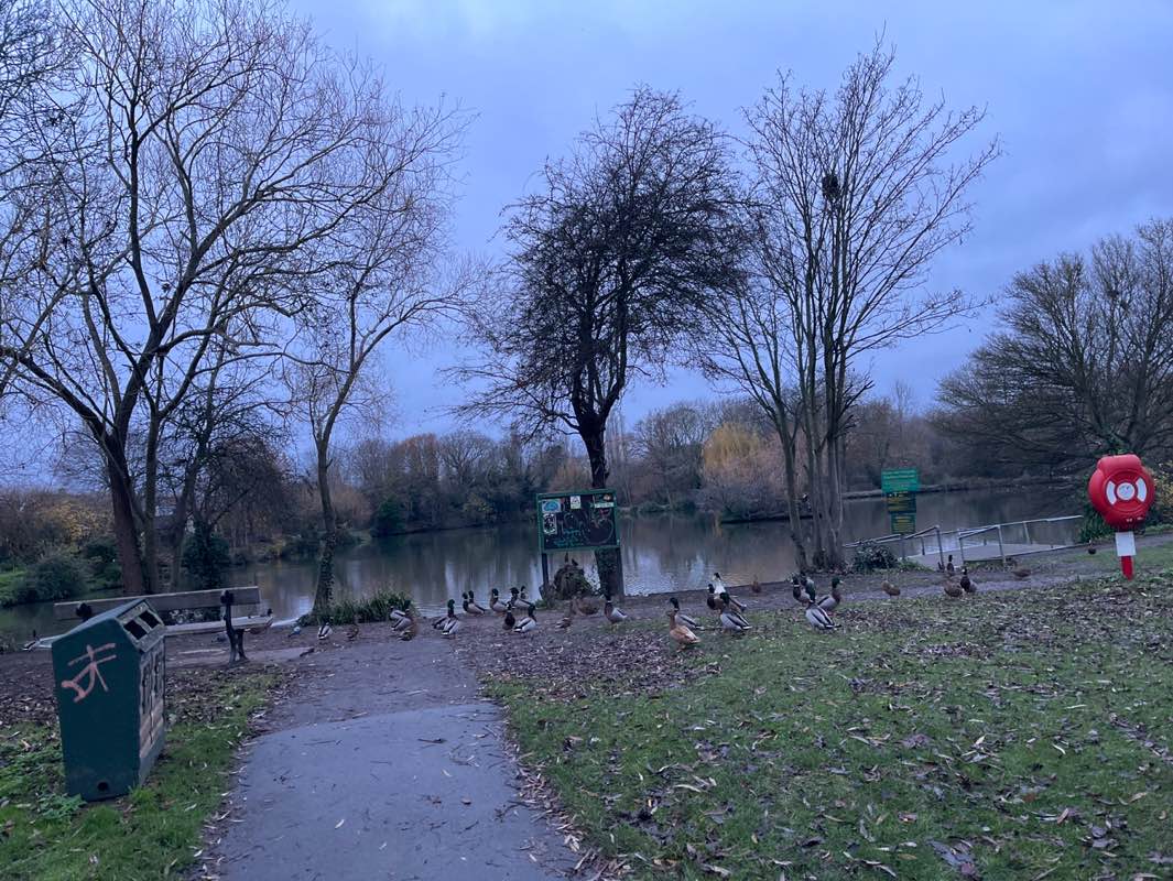 walking near me in River Roach Park in winter