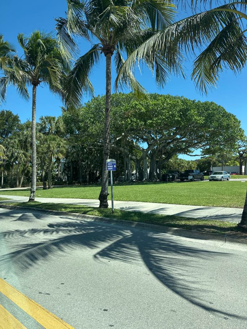 walking near me in Rogers Park in spring