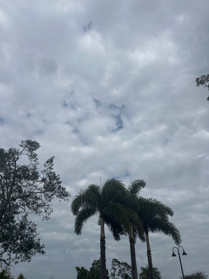 walking near me in Cindy Mysels Park in spring