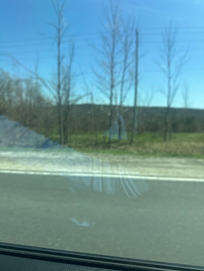 walking near me in Devil's Glen Provincial Park in spring