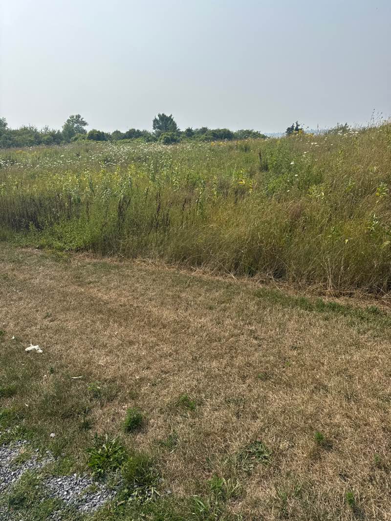 walking near me in Sackets Harbor Battlefield State Historic Site in autumn