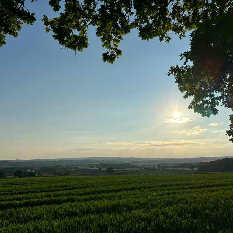 Kieran Aldridge post 2