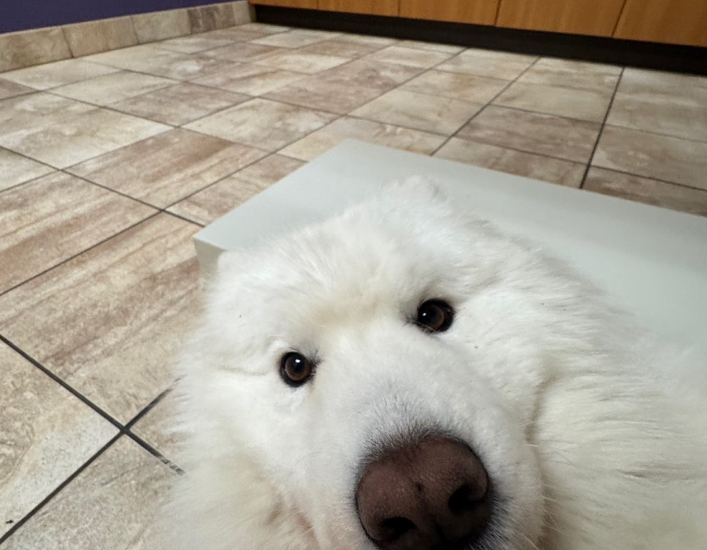 Supervised by Today N Tomorrow