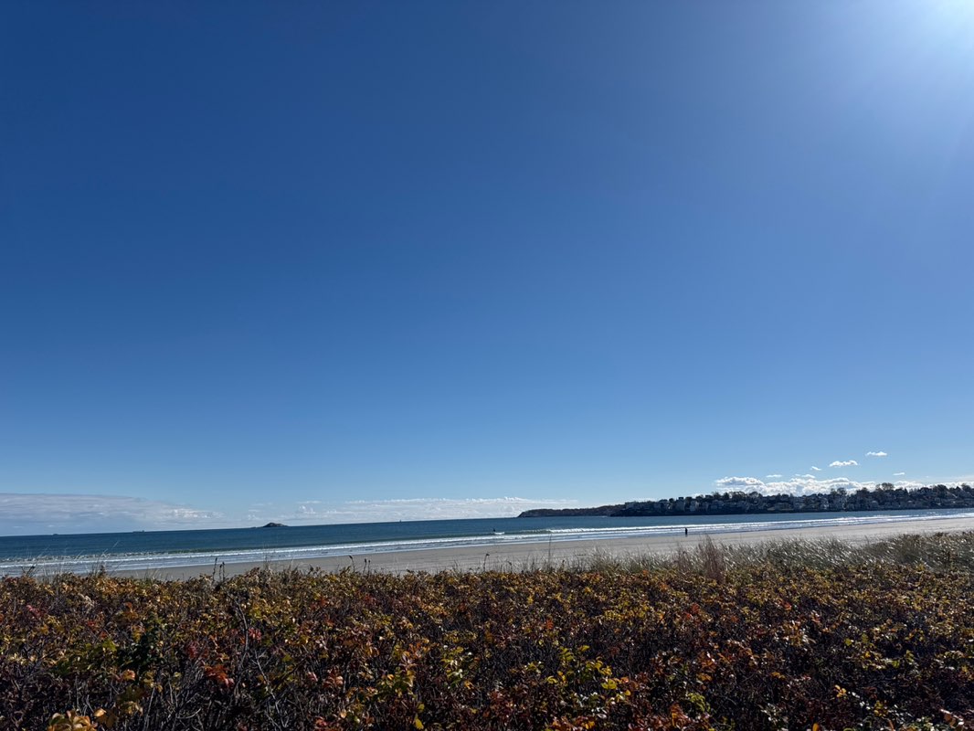 walking near me in Nahant Beach/Lynn Shore Reservations in autumn