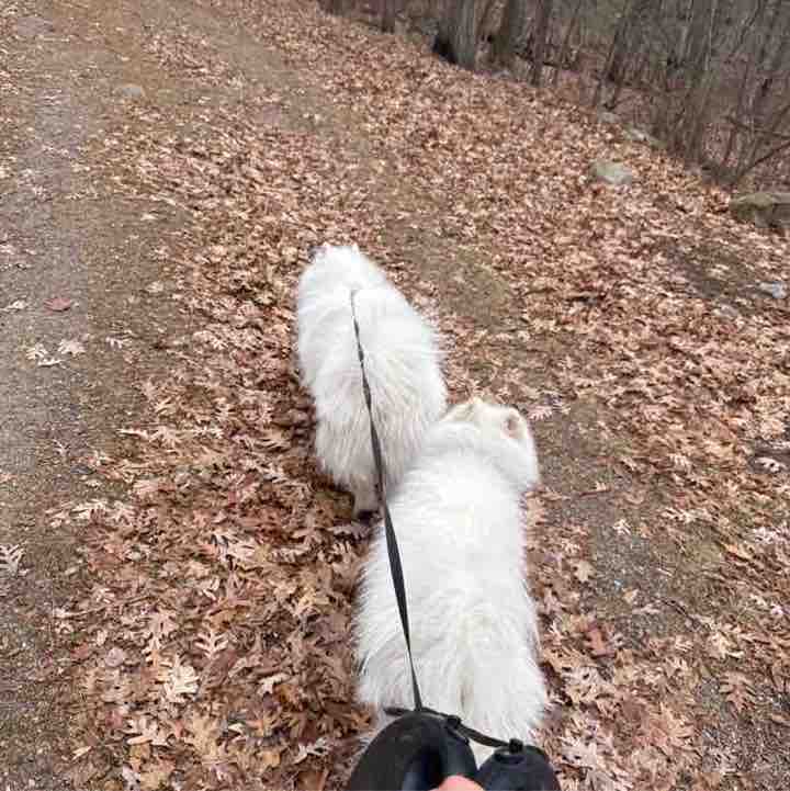 Supervised by Today N Tomorrow post 1