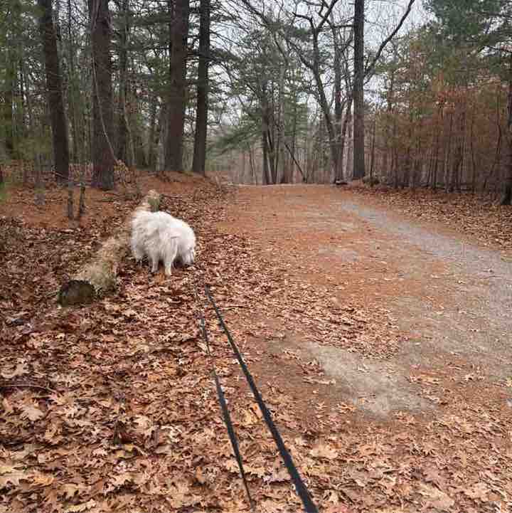 Supervised by Today N Tomorrow post 1