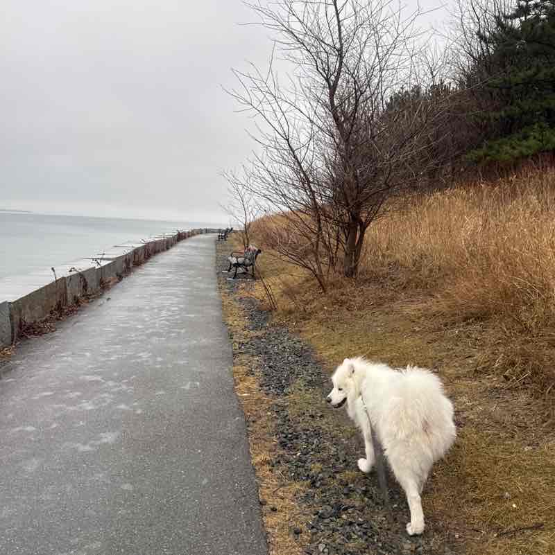 Supervised by Today N Tomorrow post 1