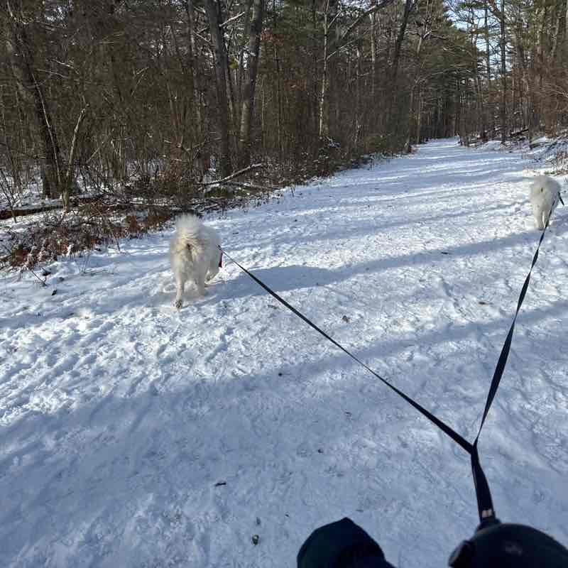 Supervised by Today N Tomorrow post 1