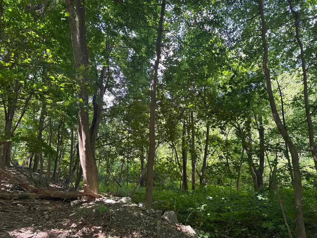 walking near me in Pine Banks Park in autumn