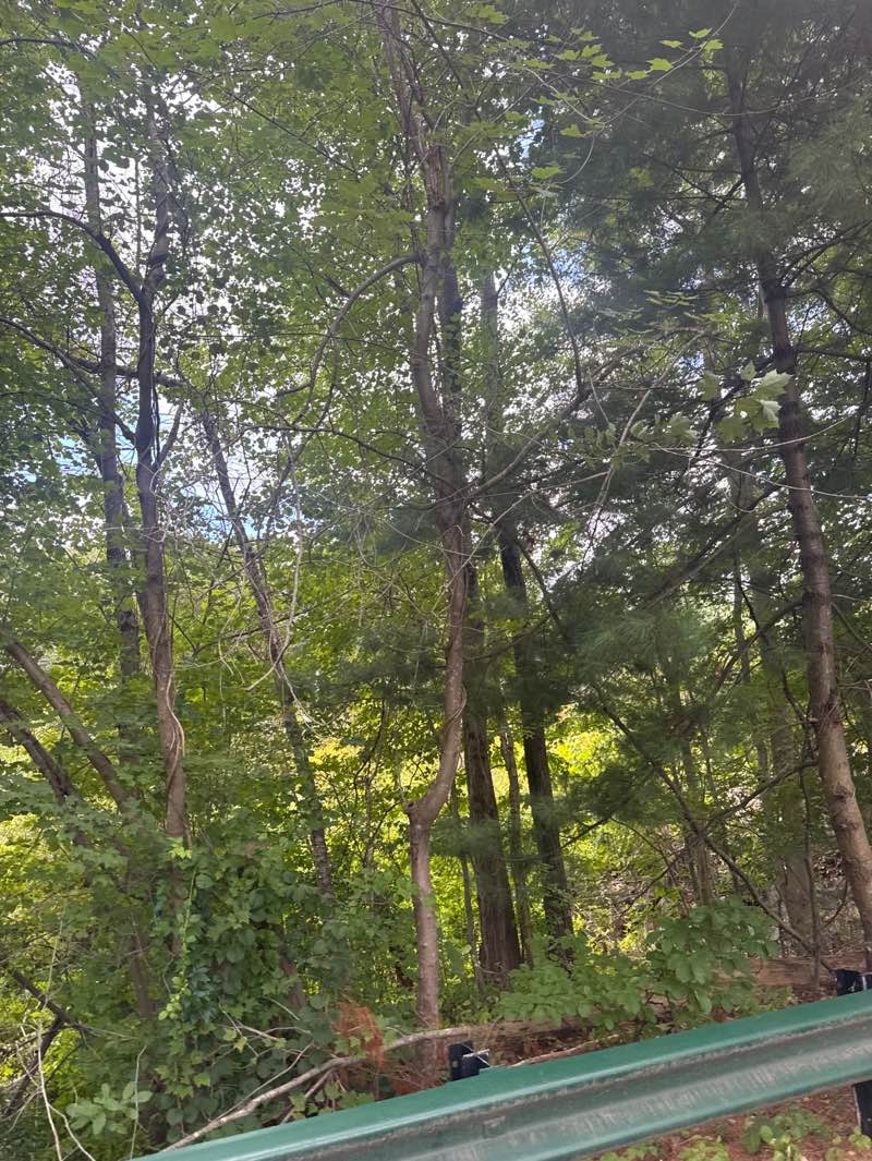 walking near me in Breakheart Reservation in autumn