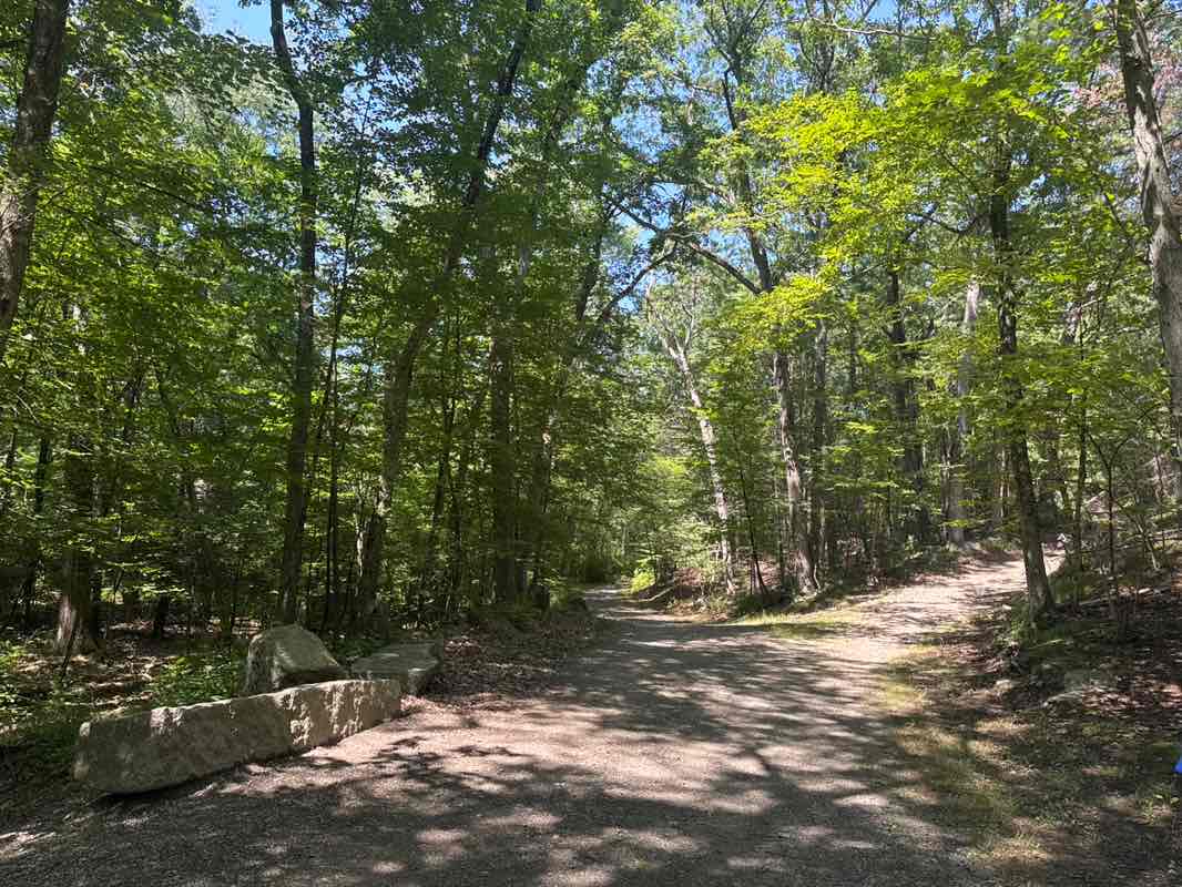 walking near me in Lynn Woods Reservation in autumn