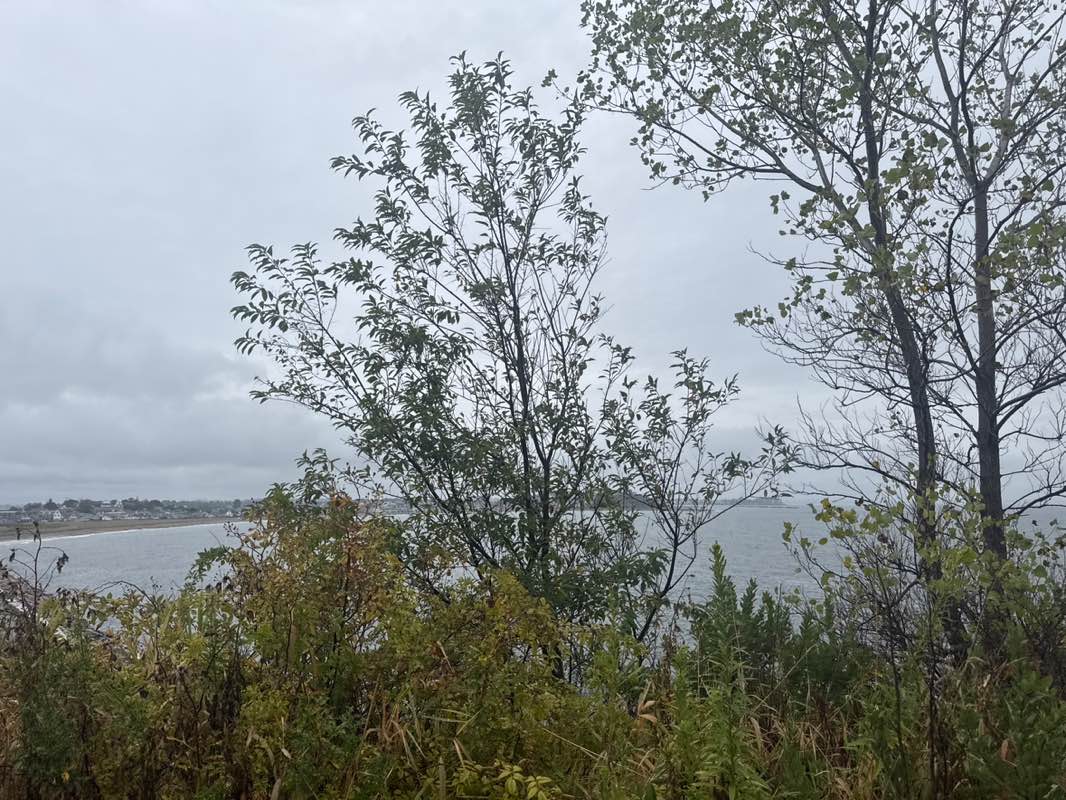 walking near me in Deer Island Park in autumn