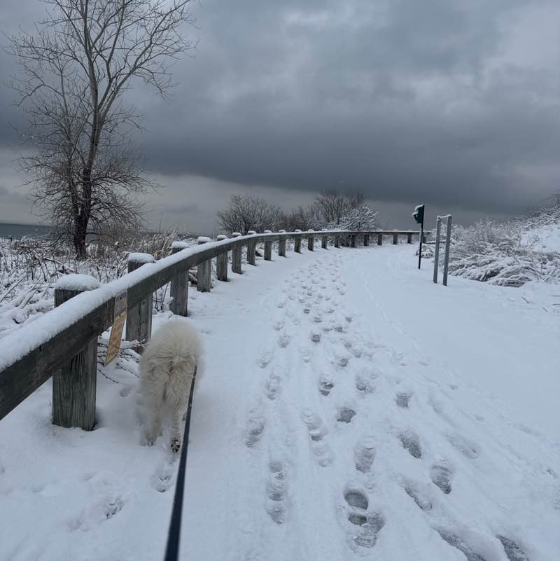 Supervised by Today N Tomorrow post 1