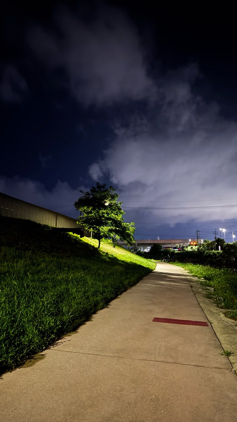 walking near me in 선단동 하천 둘레길 in autumn