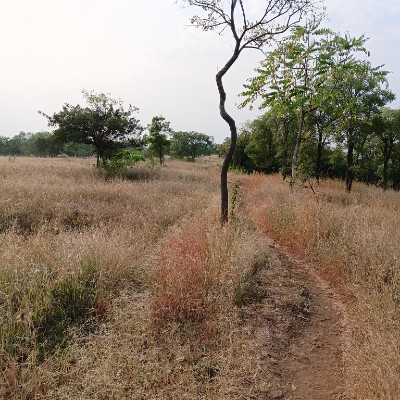 Serrala India Kalpesh post image