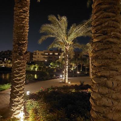 Locaria Nada post image