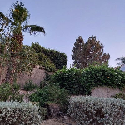 Locaria Nada post image