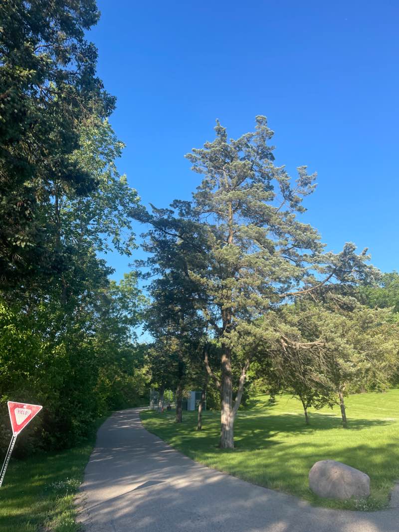 walking near me in Slade Avenue Park in winter