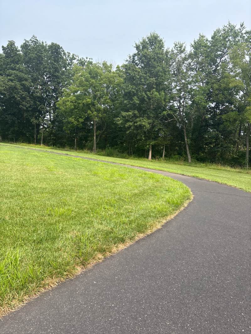 walking near me in Forrest Meadow Park in autumn