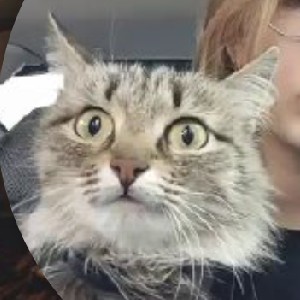 emiliarezenova profile