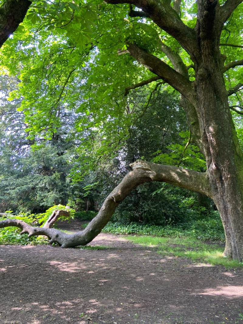 walking near me in Thornes Park in winter