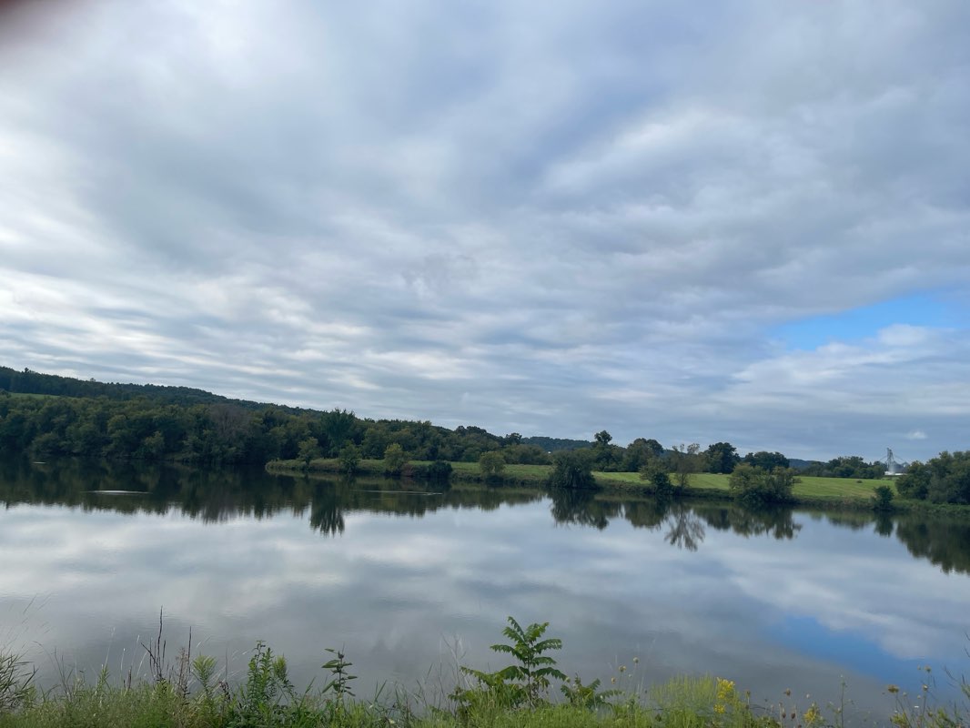 walking near me in Field Veteran’s Memorial Park in autumn