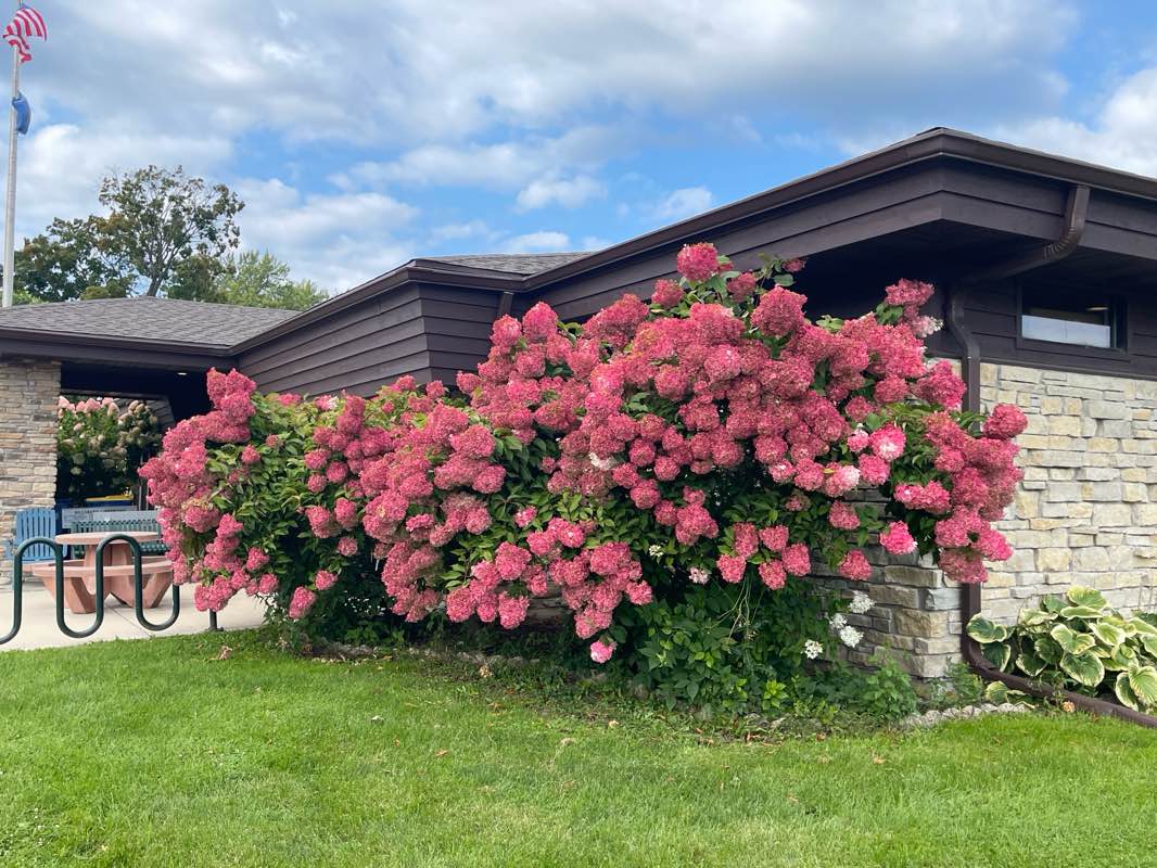 walking near me in Hammer / Klopfeisch Park in autumn