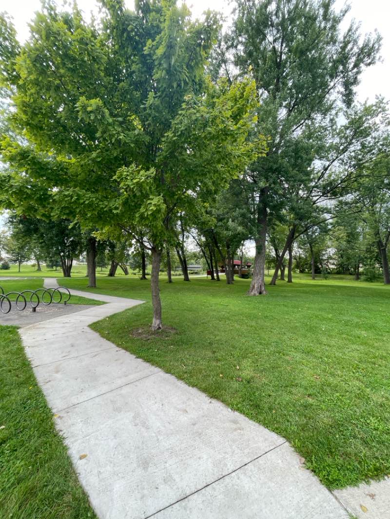 walking near me in Evans-Bosshard Park in autumn
