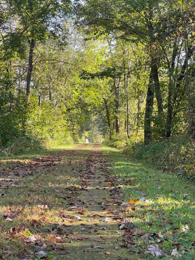 walking near me in Hillsboro State Trail Trailhead in autumn
