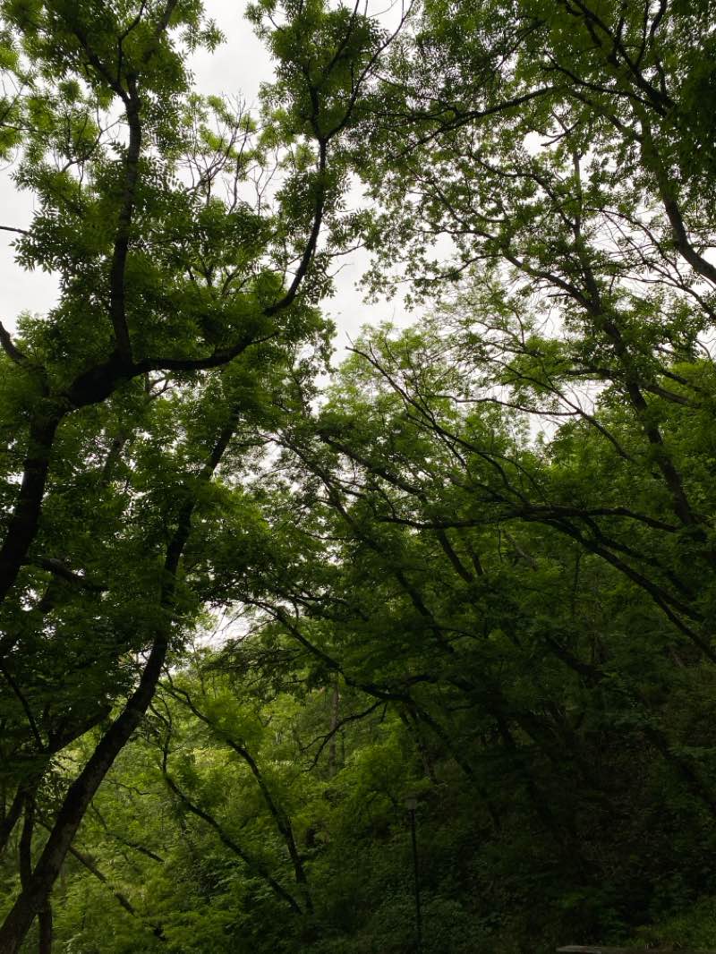walking near me in Сквер Лермонтова in winter