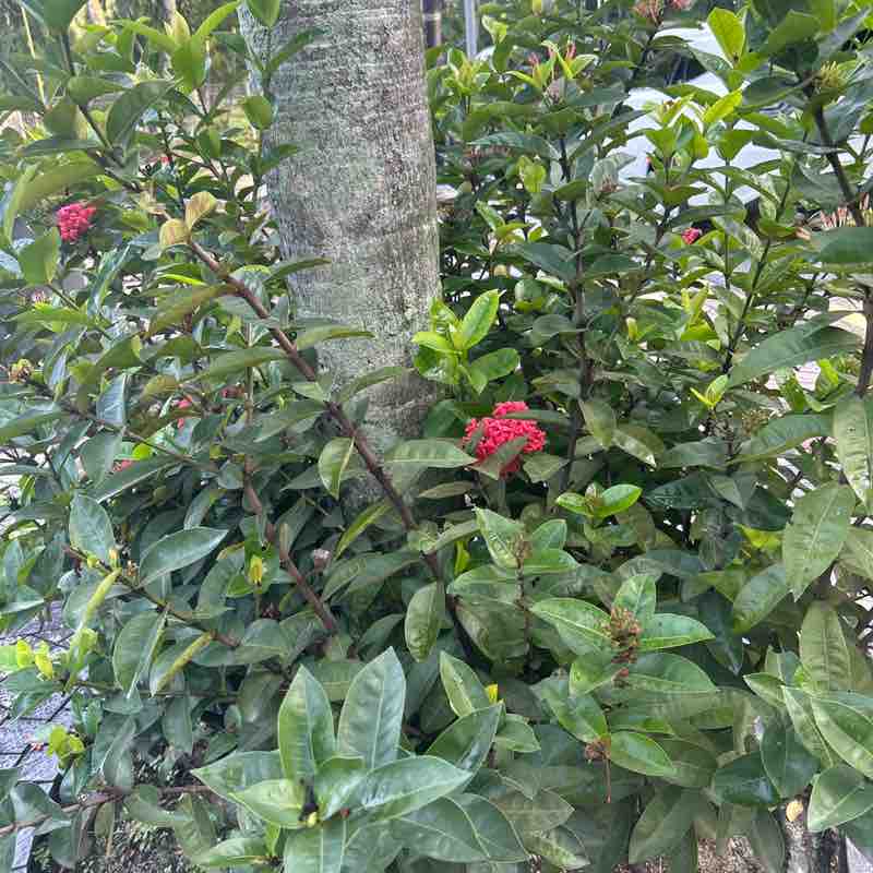 Jayesh post 1