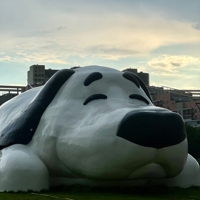 Вика Камягина 🤗 profile