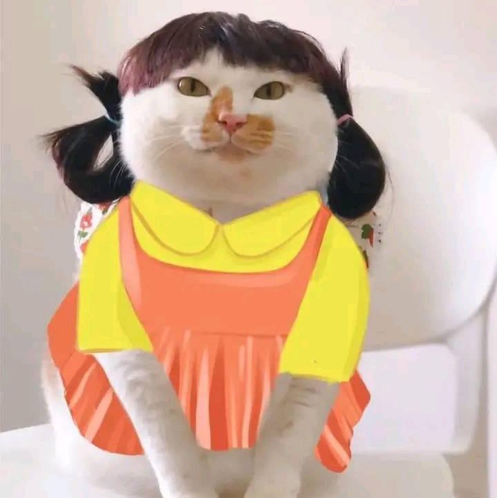 Zaza Zizi Zuzu 🦠 icon