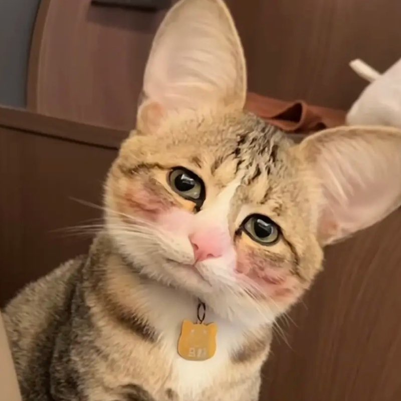 zazazizizuzu icon
