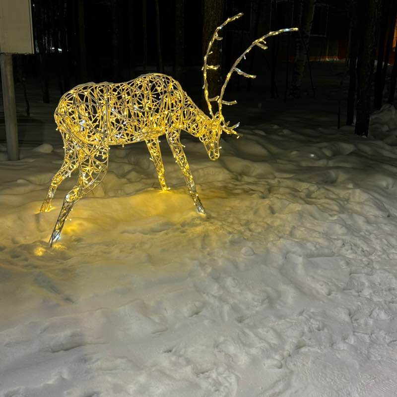 ходьба для хорошего настроения Ирина Надым post image