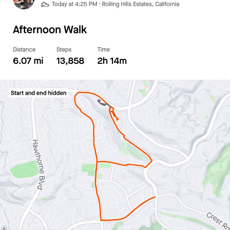 KP Carson Robin post image