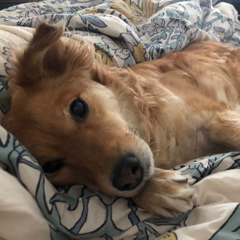 Registered Napper profile