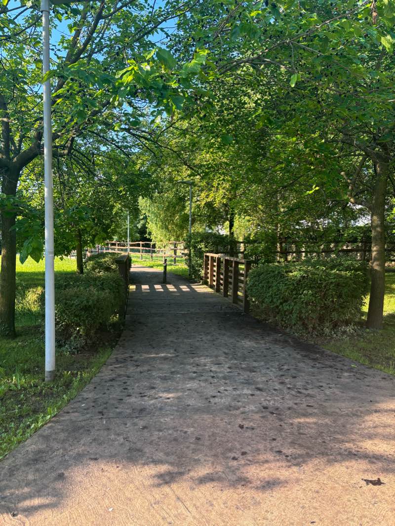walking near me in Parco Pubblico di Palazzo Vecchio in winter