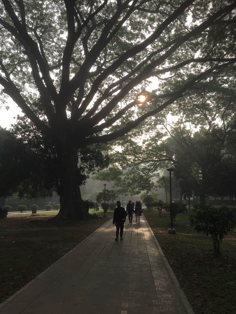 walking near me in Prime Minister's Office in winter