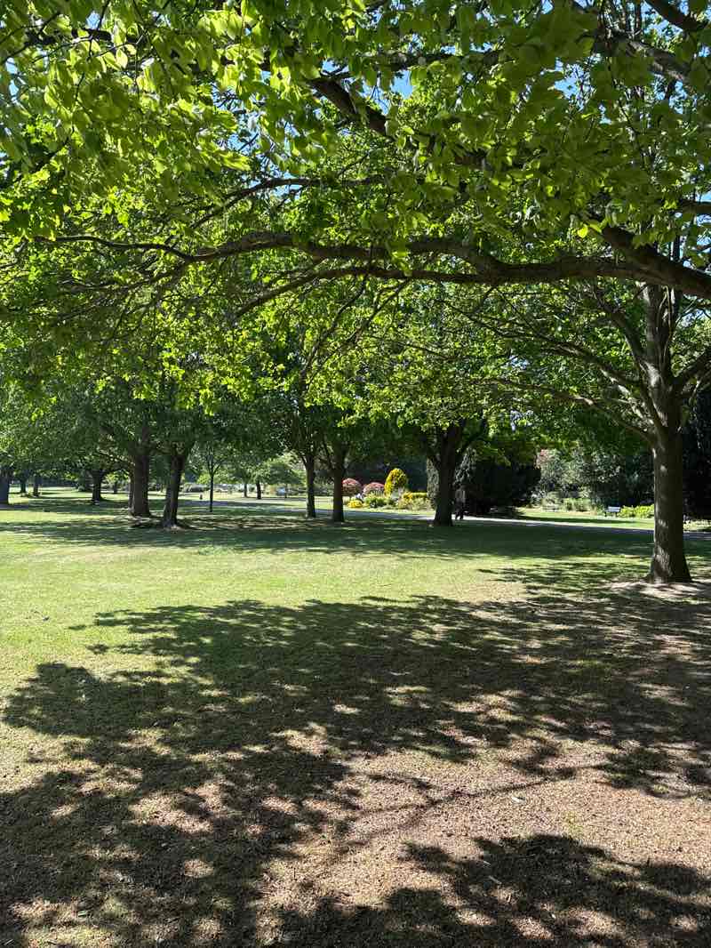 walking near me in Cheam Park in spring