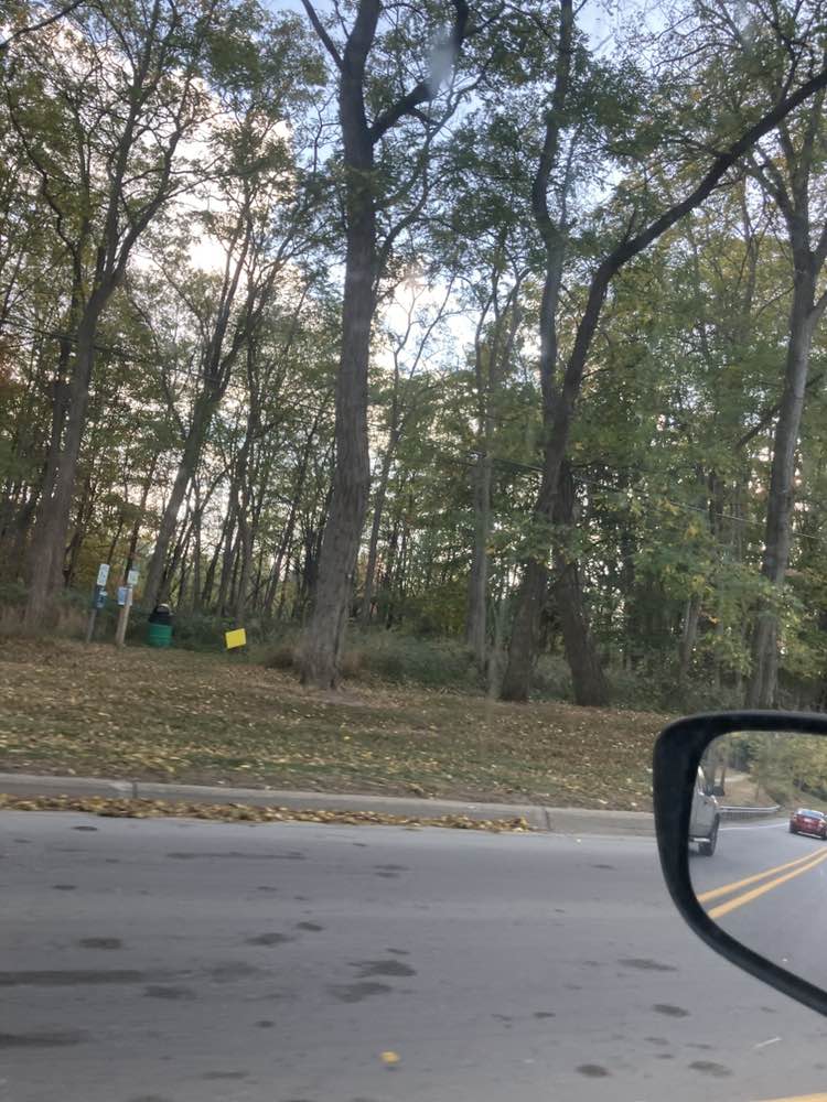 walking near me in Perry Homestead in autumn