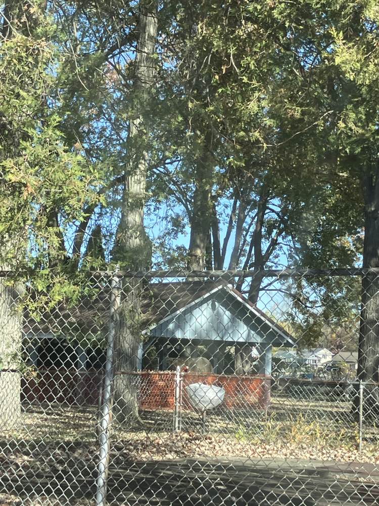 walking near me in Holly Township Beach in autumn